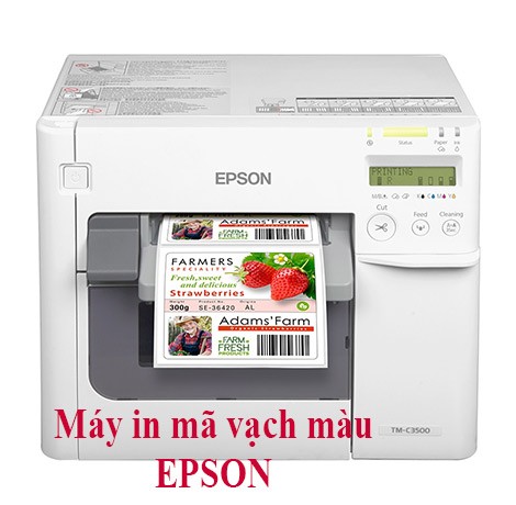 Máy in mã vạch màu Epson C3500